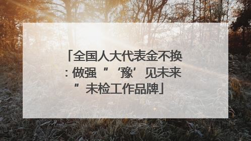 全国人大代表金不换：做强“‘豫’见未来”未检工作品牌