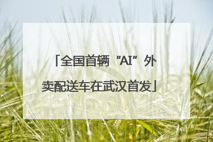 全国首辆“AI”外卖配送车在武汉首发