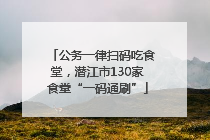 公务一律扫码吃食堂，潜江市130家食堂“一码通刷”