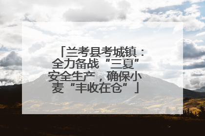兰考县考城镇：全力备战“三夏”安全生产，确保小麦“丰收在仓”