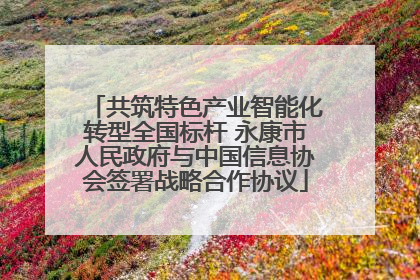 共筑特色产业智能化转型全国标杆 永康市人民政府与中国信息协会签署战略合作协议