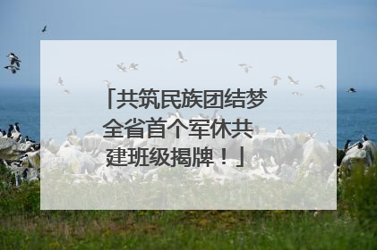 共筑民族团结梦 全省首个军休共建班级揭牌！