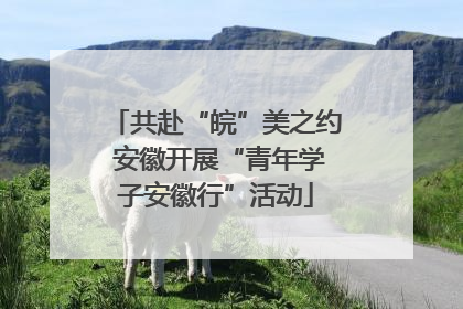 共赴“皖”美之约 安徽开展“青年学子安徽行”活动