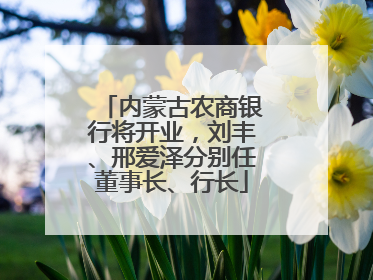 内蒙古农商银行将开业，刘丰、邢爱泽分别任董事长、行长