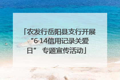 农发行岳阳县支行开展“6·14信用记录关爱日” 专题宣传活动