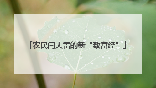 农民闫大雷的新“致富经”