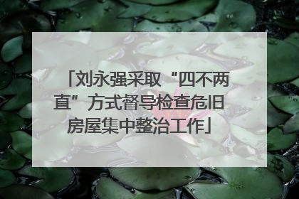 刘永强采取“四不两直”方式督导检查危旧房屋集中整治工作