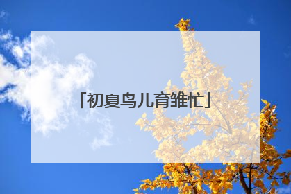 初夏鸟儿育雏忙