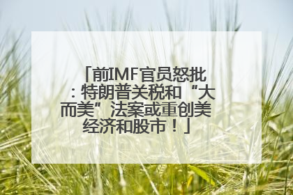 前IMF官员怒批：特朗普关税和“大而美”法案或重创美经济和股市！