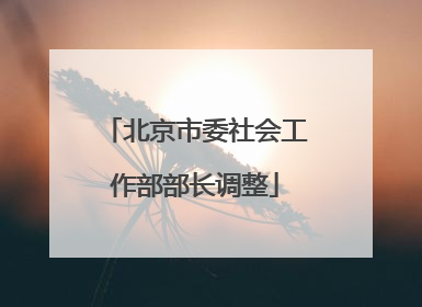 北京市委社会工作部部长调整