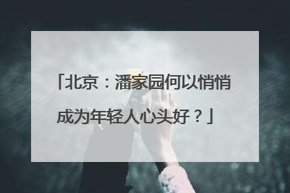 北京：潘家园何以悄悄成为年轻人心头好？