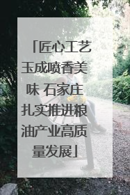 匠心工艺玉成喷香美味 石家庄扎实推进粮油产业高质量发展