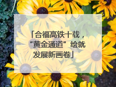 合福高铁十载，“黄金通道”绘就发展新画卷