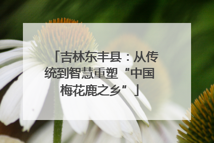 吉林东丰县：从传统到智慧重塑“中国梅花鹿之乡”