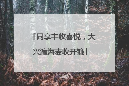 同享丰收喜悦，大兴瀛海麦收开镰