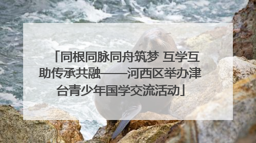 同根同脉同舟筑梦 互学互助传承共融——河西区举办津台青少年国学交流活动