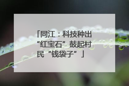同江：科技种出“红宝石”鼓起村民“钱袋子”