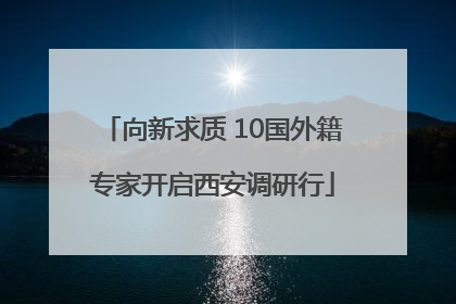 向新求质 10国外籍专家开启西安调研行