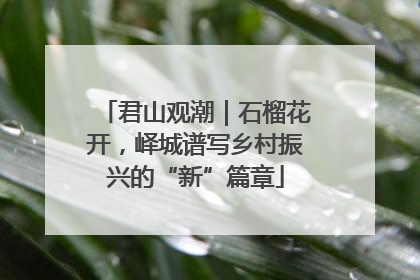 君山观潮｜石榴花开，峄城谱写乡村振兴的“新”篇章