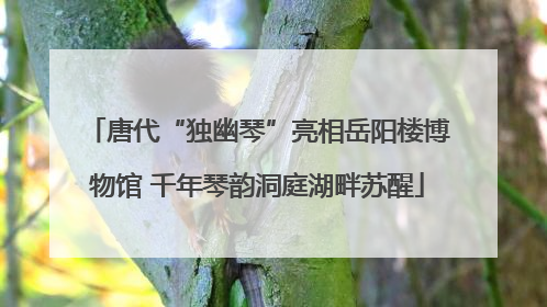 唐代“独幽琴”亮相岳阳楼博物馆 千年琴韵洞庭湖畔苏醒
