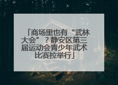 商场里也有“武林大会”？静安区第三届运动会青少年武术比赛拉举行