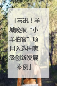 喜讯！羊城晚报“小羊拍客”项目入选国家级创新发展案例