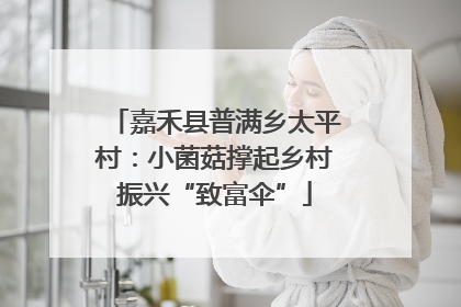 嘉禾县普满乡太平村：小菌菇撑起乡村振兴“致富伞”