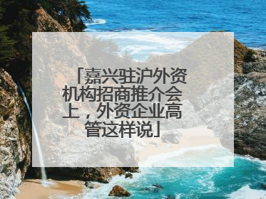 嘉兴驻沪外资机构招商推介会上，外资企业高管这样说
