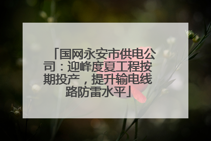 国网永安市供电公司：迎峰度夏工程按期投产，提升输电线路防雷水平