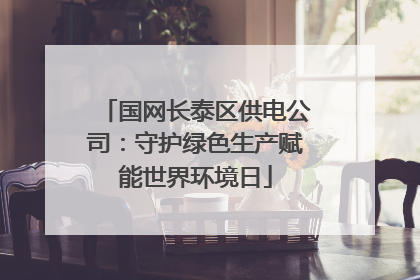 国网长泰区供电公司：守护绿色生产赋能世界环境日