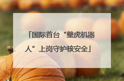 国际首台“壁虎机器人”上岗守护核安全