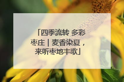 四季流转 多彩枣庄｜麦香染夏，来听枣地丰歌