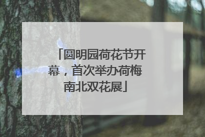 圆明园荷花节开幕，首次举办荷梅南北双花展