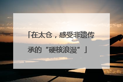 在太仓，感受非遗传承的“硬核浪漫”