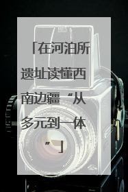 在河泊所遗址读懂西南边疆“从多元到一体”