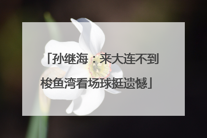 孙继海：来大连不到梭鱼湾看场球挺遗憾