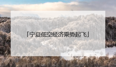 宁夏低空经济乘势起飞