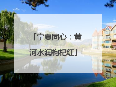 宁夏同心：黄河水润枸杞红