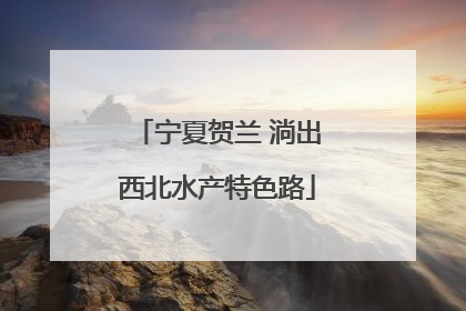 宁夏贺兰 淌出西北水产特色路