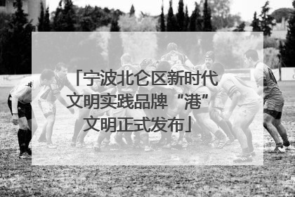 宁波北仑区新时代文明实践品牌“港”文明正式发布