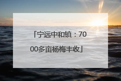 宁远中和镇：7000多亩杨梅丰收