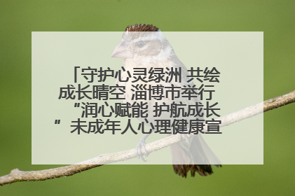 守护心灵绿洲 共绘成长晴空 淄博市举行“润心赋能 护航成长”未成年人心理健康宣传教育主题活动