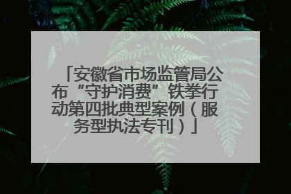 安徽省市场监管局公布“守护消费”铁拳行动第四批典型案例（服务型执法专刊）