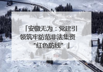 安徽无为：党建引领筑牢防范非法集资“红色防线”