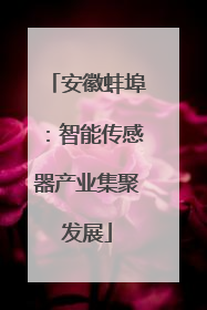 安徽蚌埠：智能传感器产业集聚发展