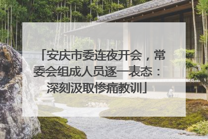 安庆市委连夜开会，常委会组成人员逐一表态：深刻汲取惨痛教训