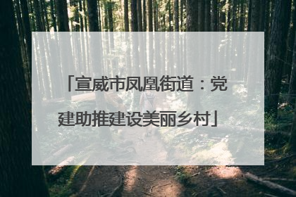 宣威市凤凰街道：党建助推建设美丽乡村