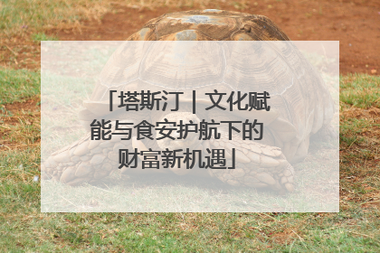塔斯汀｜文化赋能与食安护航下的财富新机遇
