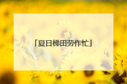 夏日梯田劳作忙