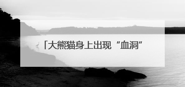 大熊猫身上出现“血洞”？熊猫中心发长文科普